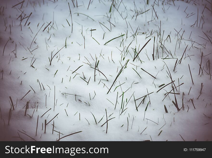 Green Grass Under Snow