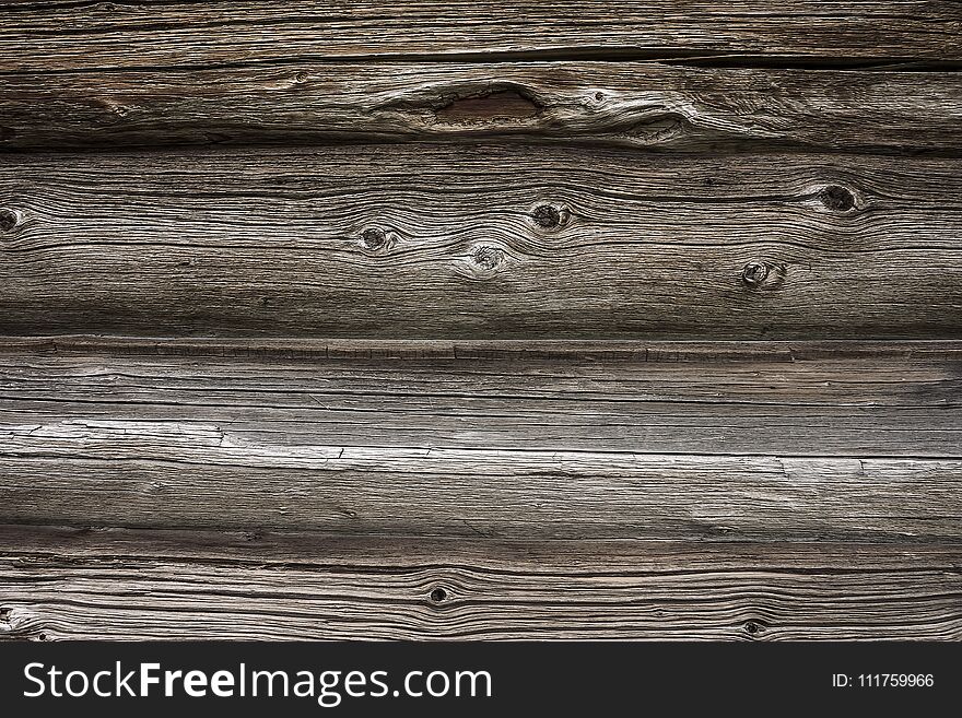 Texture of old weathered tree close-up outdoors