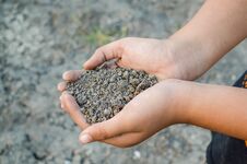 Dry Soil On Man Hand Royalty Free Stock Image