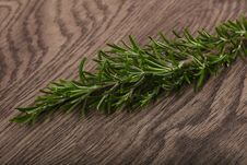 Free Rosemary Branch Stock Photos - 111762523