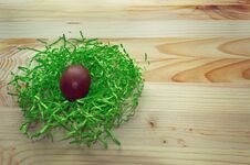 Chocolate Egg In Green Nest Stock Photos