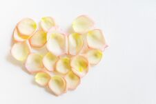 Top View Flat Lay Yellow And Pink Tea Rose Petals In Heart Shape On White Background. Love, Romance, Valentines Day Concept Stock Images