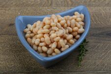 White Kidney Beans Royalty Free Stock Images