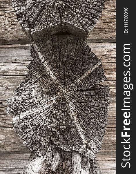 Texture of old weathered tree close - up outdoors. Logs and boards. Texture of old weathered tree close - up outdoors. Logs and boards.