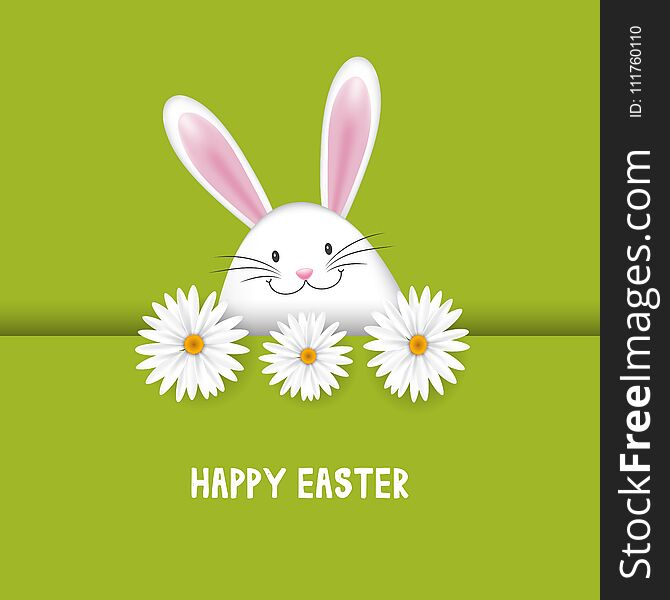 Easter background with cute bunny and daisies