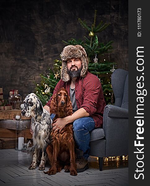 Bearded middle age male dressed in a plaid shirt and fur hat and two Irish setter dogs with fir tree and Christmas decoration on background. Bearded middle age male dressed in a plaid shirt and fur hat and two Irish setter dogs with fir tree and Christmas decoration on background.