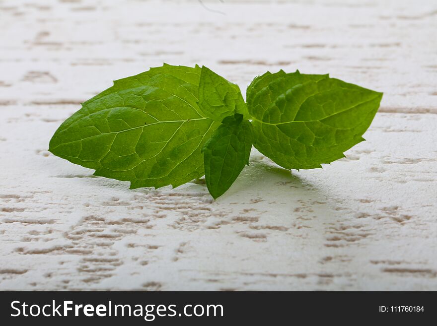 Fresh ripe Mint leaves on the wood background