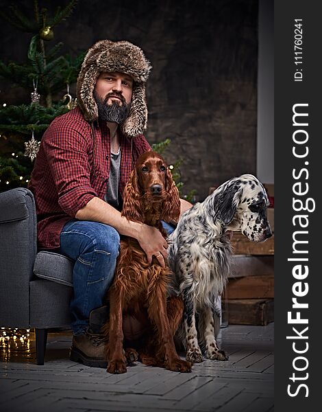 Bearded middle age male dressed in a plaid shirt and fur hat and two Irish setter dogs with fir tree and Christmas decoration on background. Bearded middle age male dressed in a plaid shirt and fur hat and two Irish setter dogs with fir tree and Christmas decoration on background.