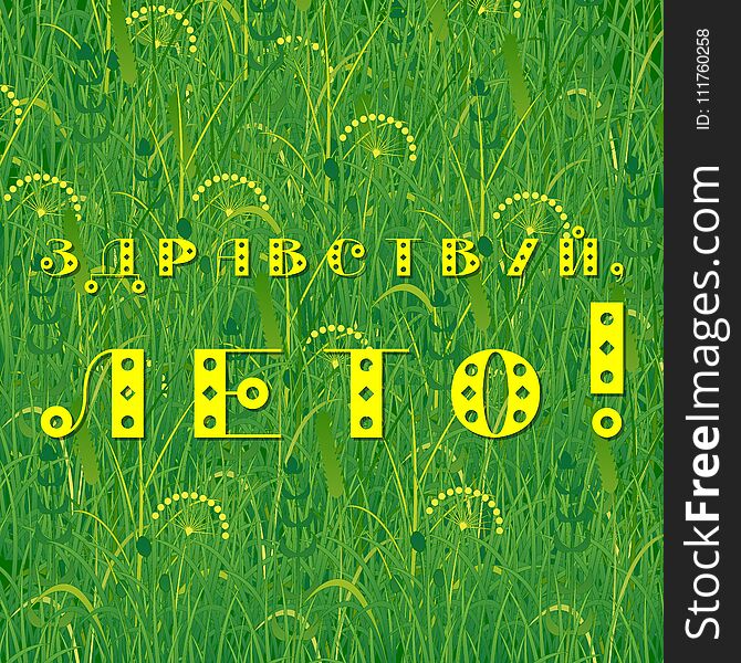 Background of grass. Text in Russian - Hello summer. Plants meadows and fields. Concept summer, nature, freshness relaxation. Background of grass. Text in Russian - Hello summer. Plants meadows and fields. Concept summer, nature, freshness relaxation