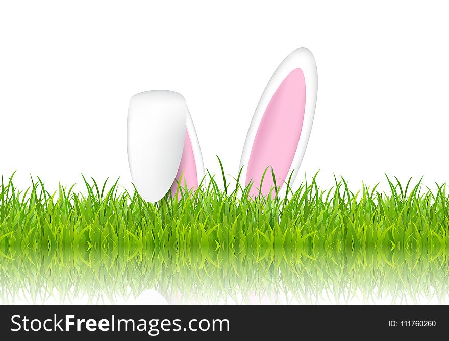 Easter bunny ears in grass on a white background