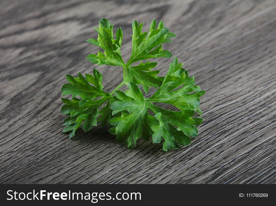 Fresh ripe green parsley leaves on wood background