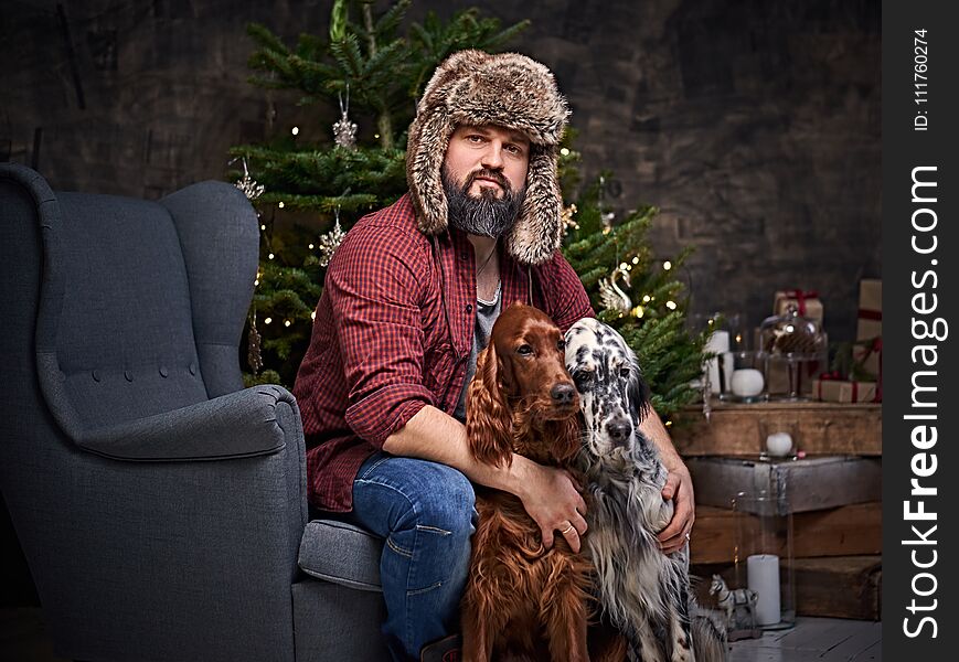 Bearded middle age male dressed in a plaid shirt and fur hat and two Irish setter dogs with fir tree and Christmas decoration on background. Bearded middle age male dressed in a plaid shirt and fur hat and two Irish setter dogs with fir tree and Christmas decoration on background.
