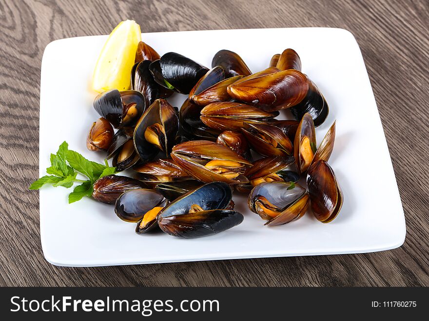 Boiled mussels with parsley on the wood background