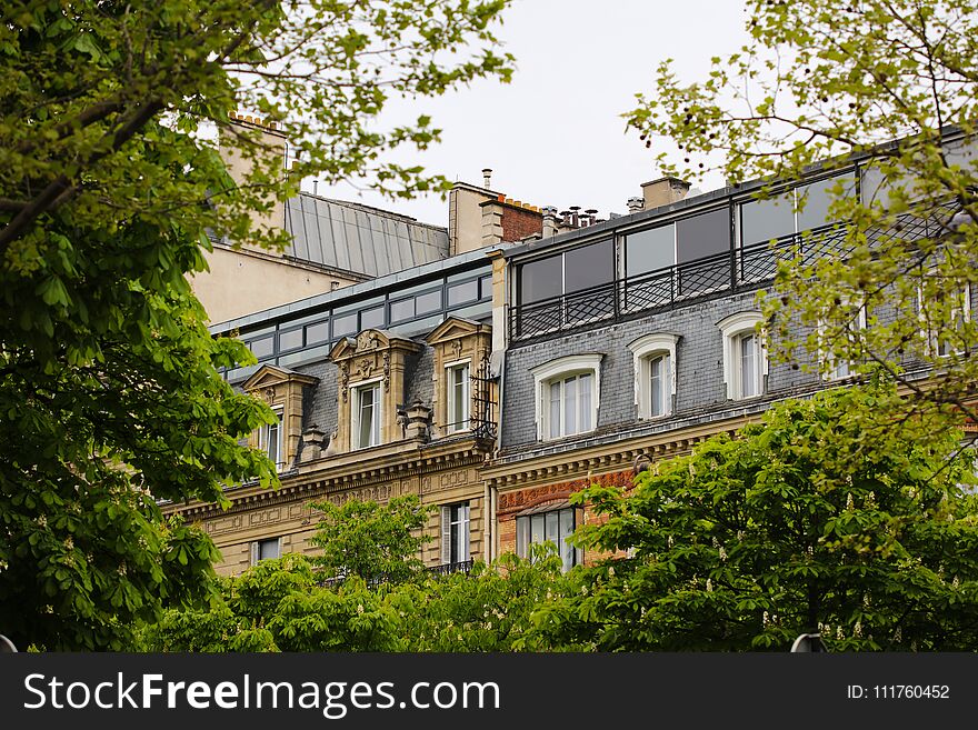 Paris windows