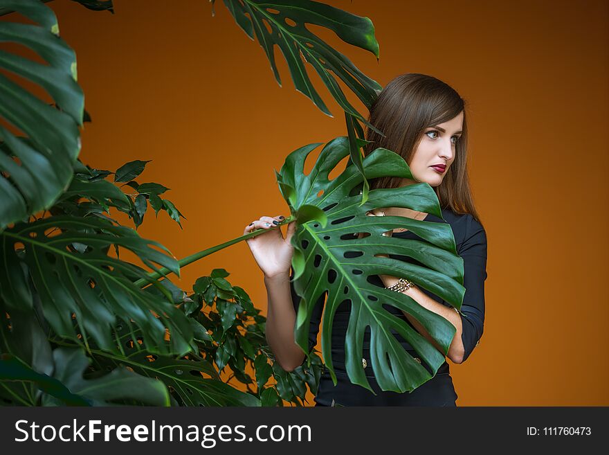 Pretty girl holding by hand stalk of palm on brown background