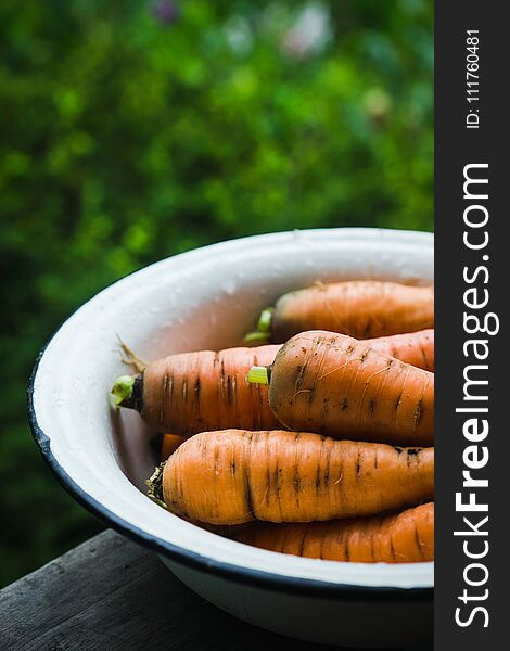 Raw carrots in the bowl. Selective focus.