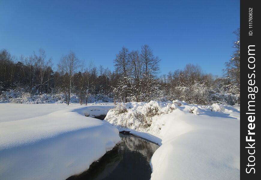 View of the river, trees and bushes in winter clear day. View of the river, trees and bushes in winter clear day.