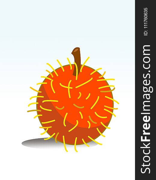Rambutan Fruit Cartoon