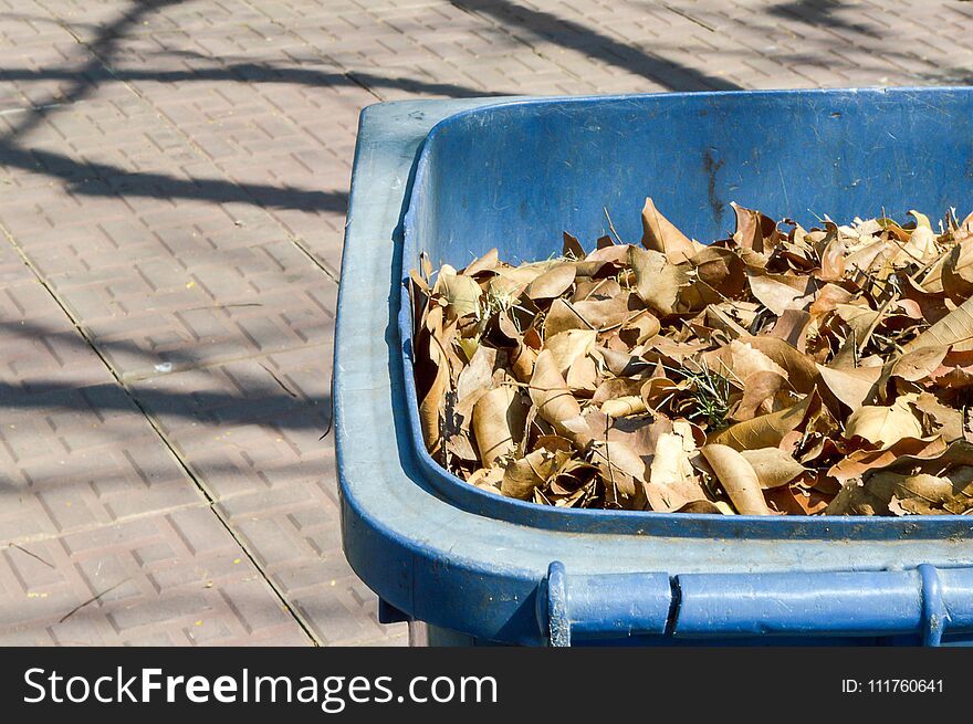 Close up dry leaves on plastic bin