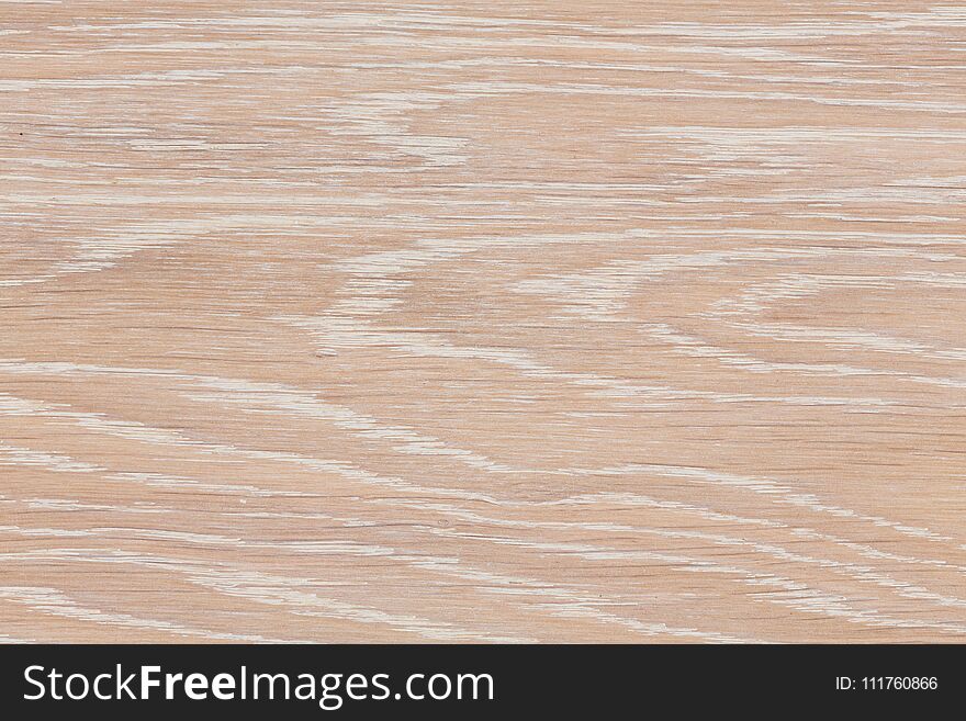 Real Natural Wood Texture And Surface Background.