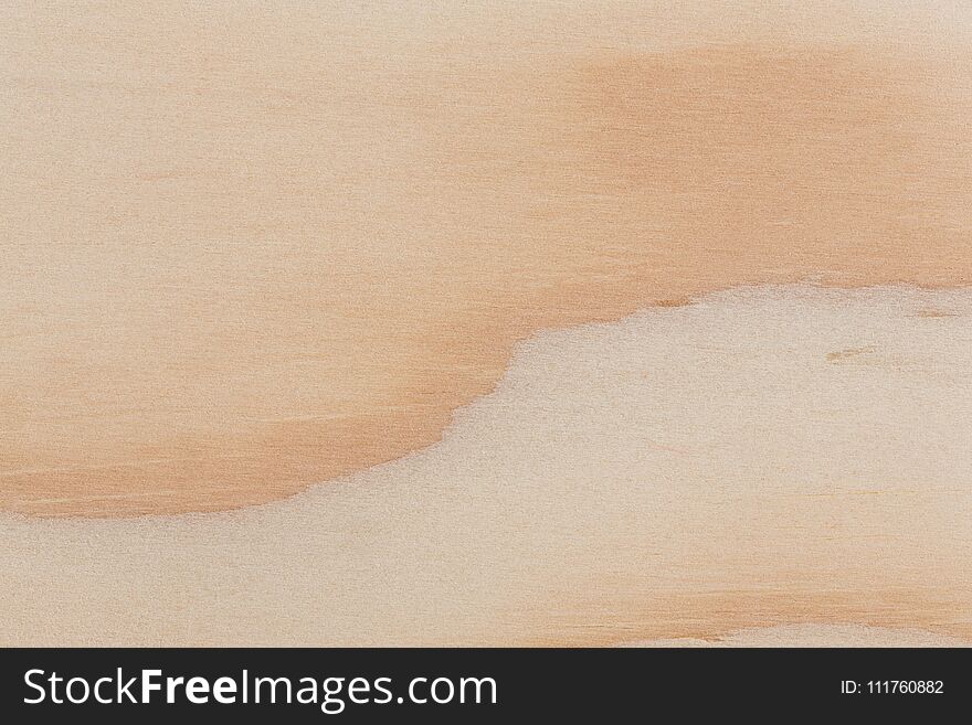 Texture of pine wood plank, high detailed. Hi res photo.