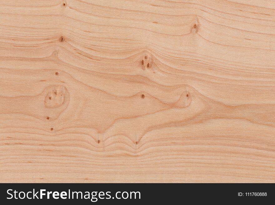 Wooden Surface With Bright Texture. Pine Pattern.