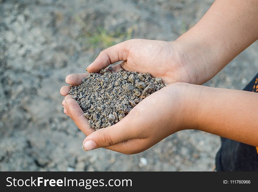 Dry soil on man hand