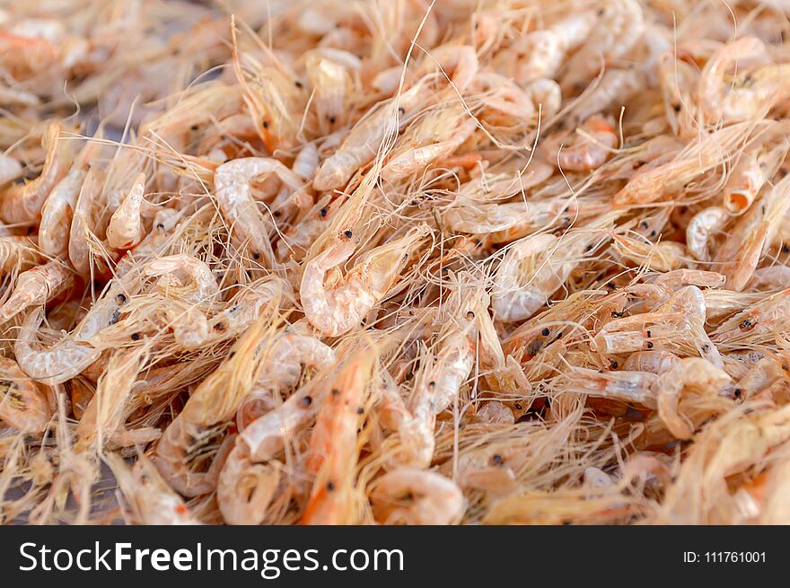 Close up group of dry shrimp