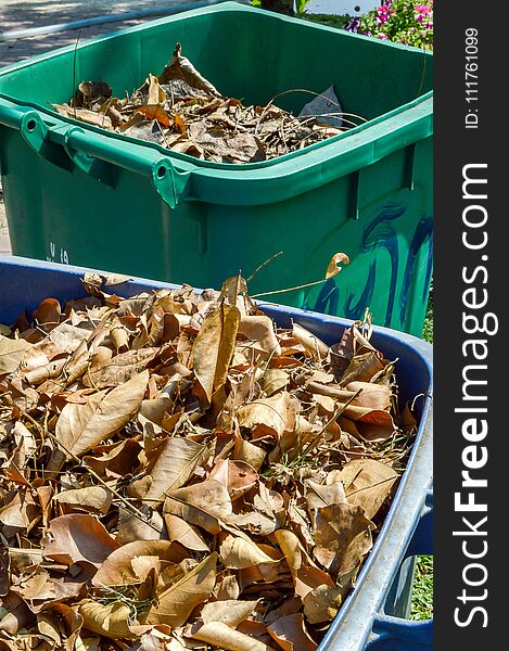 Dry Leaf On Plastic Bin