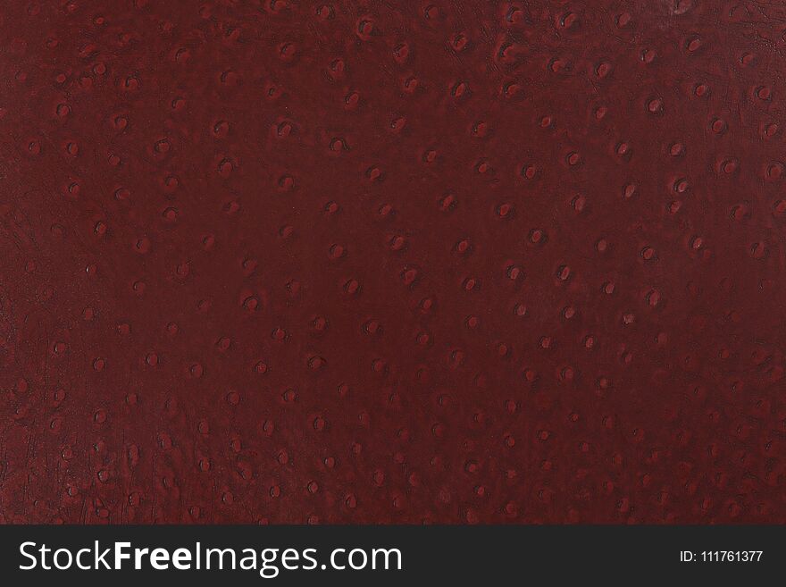 Close-up of ostrich leather. Extremely high resolution photo.