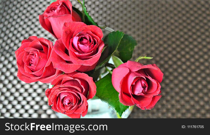 Red roses in a vase of transparent glass