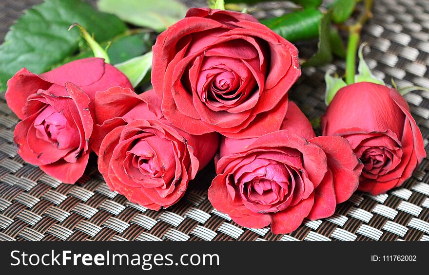 Five red rose buds on a braided chocolate shade. Large-format photo. Five red rose buds on a braided chocolate shade. Large-format photo.