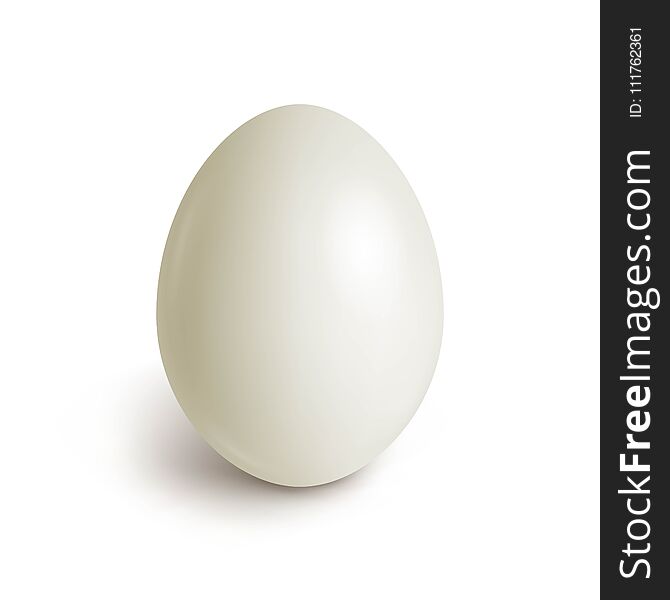 Chicken egg realistic. White egg isolated on white. Template for Easter holida. Vector illustration. Chicken egg realistic. White egg isolated on white. Template for Easter holida. Vector illustration