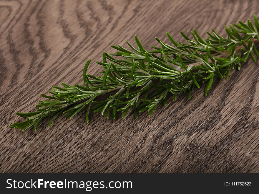 Green young Rosemary branch on the wood background