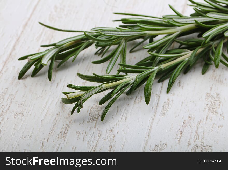 Fresh green rosemary plant on the wood background