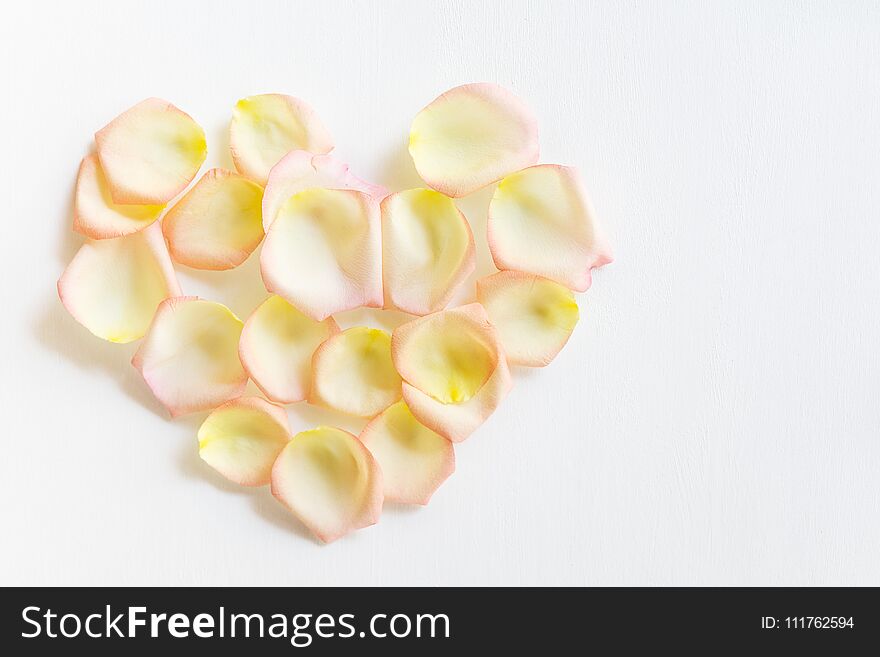 Top view flat lay Yellow and pink tea rose petals in heart shape on white background. Love, romance, valentines day concept