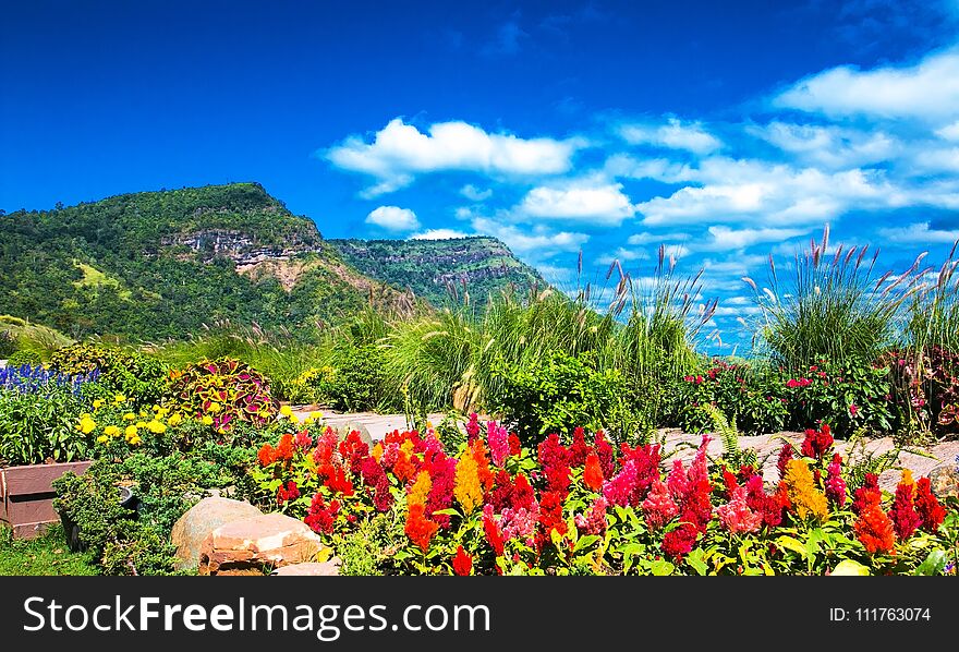 Beautiful mountain landscape with white cloud blue sky