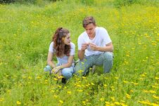 A Teenage Young Couple Having Fun In A Field Of Chrysanthemum Royalty Free Stock Photo A Teenage Young Couple Having Fun In A Field Of Chrysanthemum Royalty Free Stock Photo