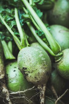 Harvested Green Turnip In Wooden Crate Stock Photos