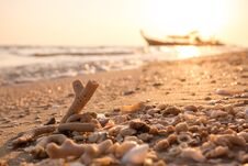 Coral Fragments And Sea Debris On Golden Beach Morning Sunlight Stock Image