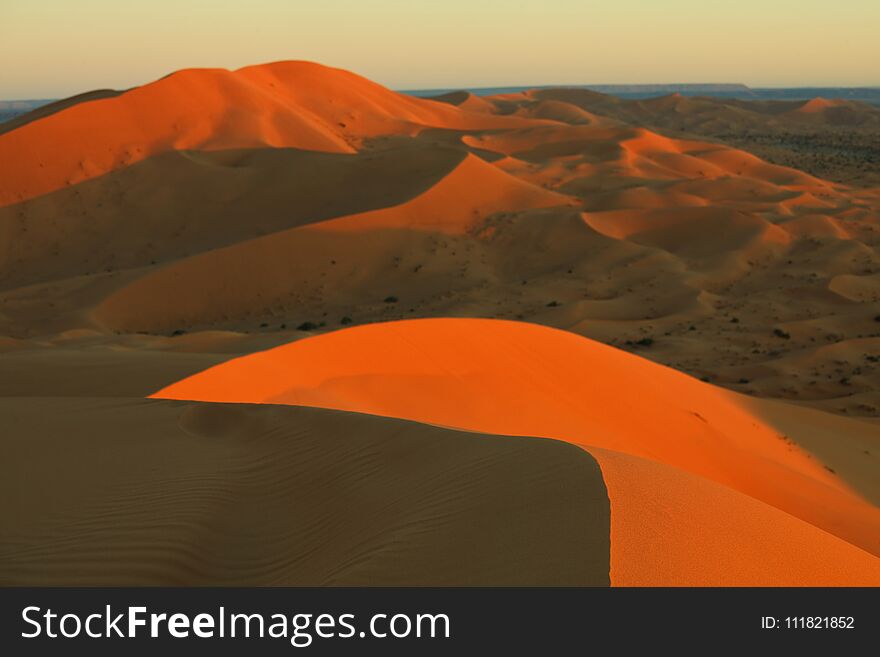 Scenic sand dunes in desert. Scenic sand dunes in desert