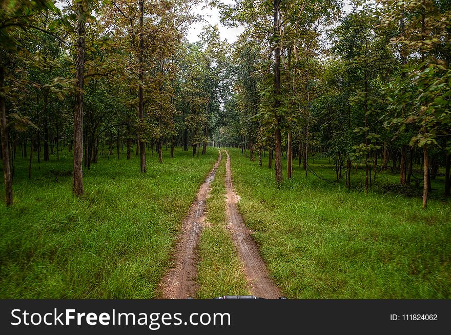 Photography of Road