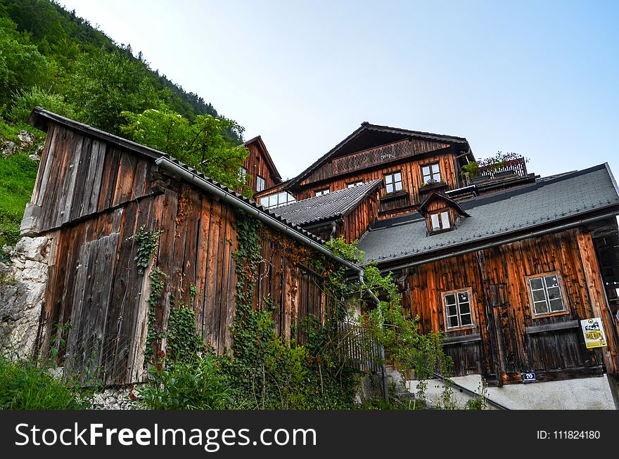 Brown Wooden House Near Mountain With Green Leaf Trees