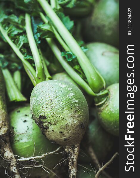 Harvested green turnip in wooden crate. Selective focus.