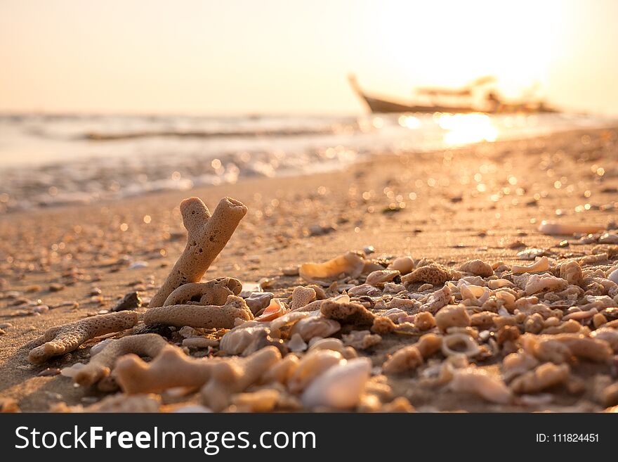 Coral fragments and sea debris on golden beach morning sunlight with sparkle sand and sea bokeh and silhouette fishing boat blurred background.