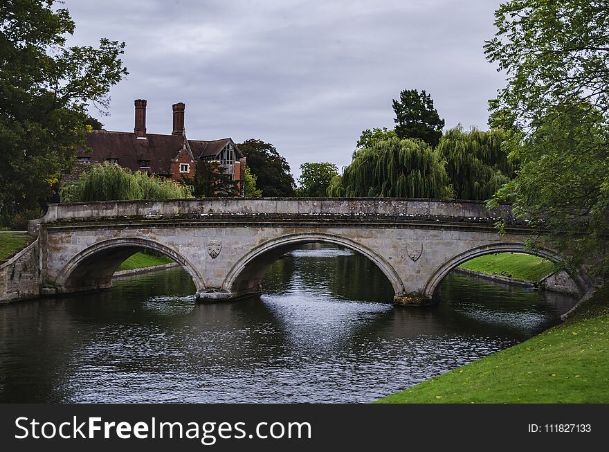 The flow of the river between the grassy shores surrounded by trees, a warm summer day in the park. The flow of the river between the grassy shores surrounded by trees, a warm summer day in the park