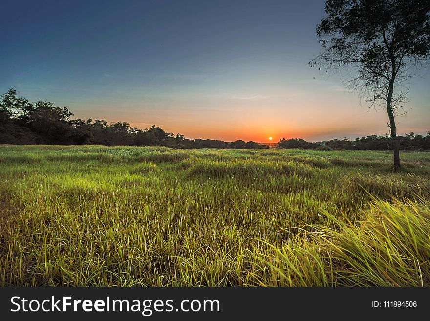 Landscape Photography Of Green Grass Field During Golden Hour