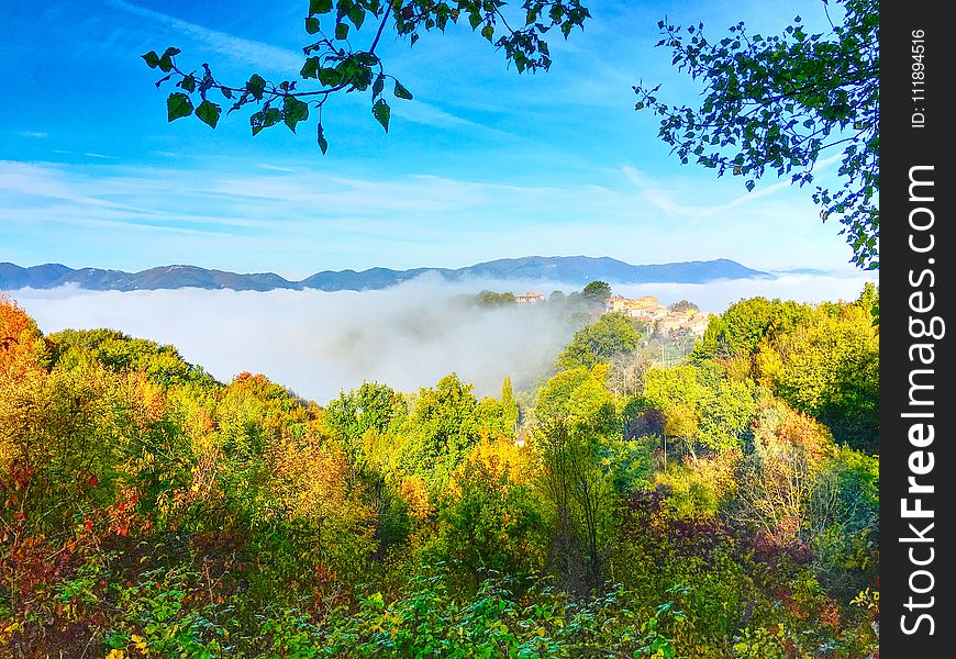 Green Trees And Clouds