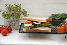 Sandwich With Baked Chicken, Tomato And Mozzarella Royalty Free Stock Images