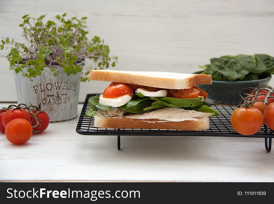 Perfect Italian breakfast: sandwich with baked chicken, tomato and mozzarella